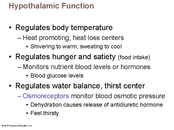 Hypothalamic Function • Regulates body temperature – Heat promoting, heat loss centers • Shivering