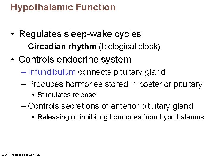 Hypothalamic Function • Regulates sleep-wake cycles – Circadian rhythm (biological clock) • Controls endocrine