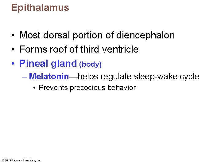 Epithalamus • Most dorsal portion of diencephalon • Forms roof of third ventricle •