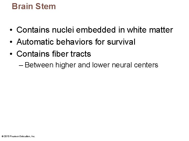 Brain Stem • Contains nuclei embedded in white matter • Automatic behaviors for survival