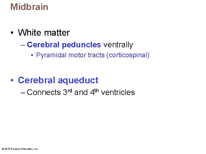 Midbrain • White matter – Cerebral peduncles ventrally • Pyramidal motor tracts (corticospinal) •