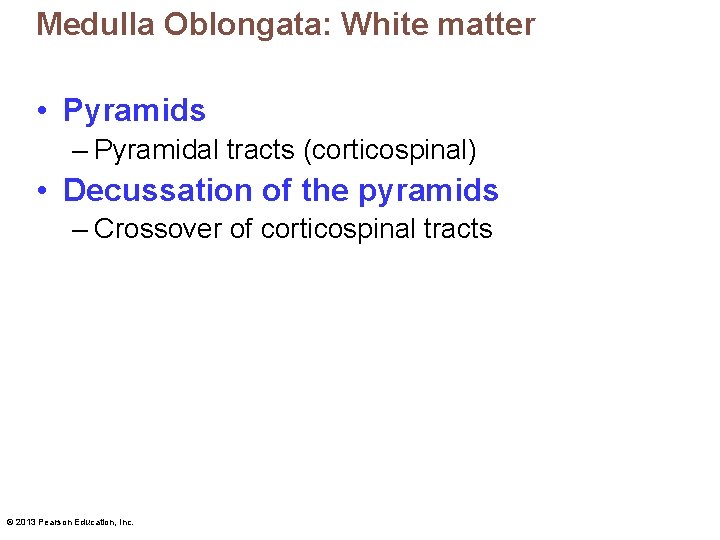 Medulla Oblongata: White matter • Pyramids – Pyramidal tracts (corticospinal) • Decussation of the