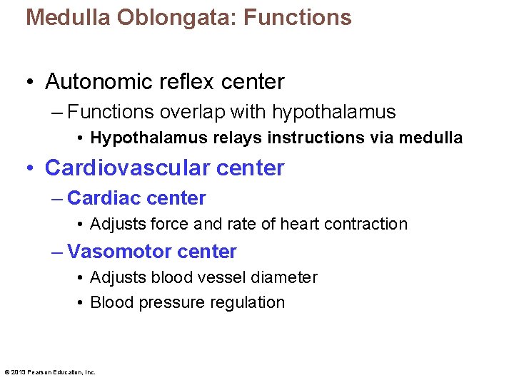 Medulla Oblongata: Functions • Autonomic reflex center – Functions overlap with hypothalamus • Hypothalamus