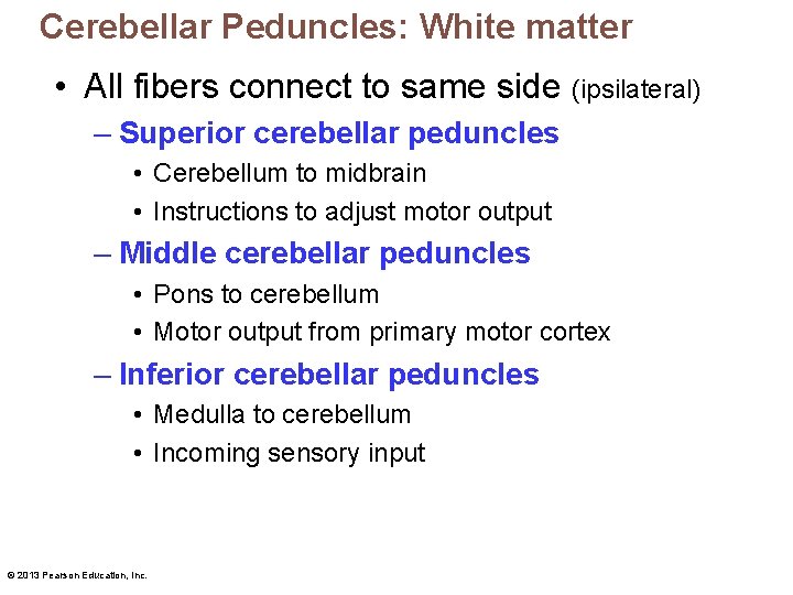 Cerebellar Peduncles: White matter • All fibers connect to same side (ipsilateral) – Superior