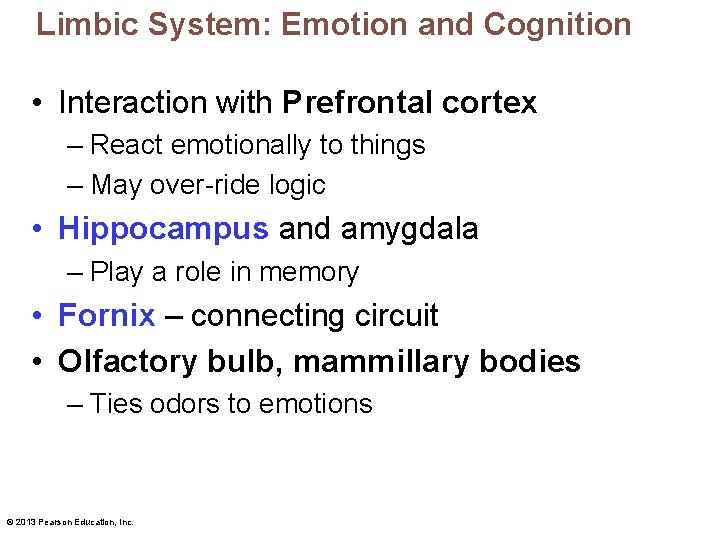Limbic System: Emotion and Cognition • Interaction with Prefrontal cortex – React emotionally to
