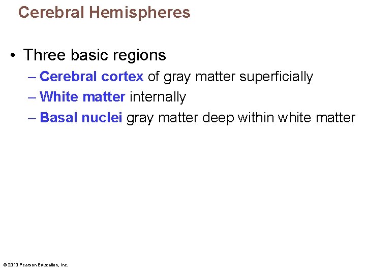 Cerebral Hemispheres • Three basic regions – Cerebral cortex of gray matter superficially –