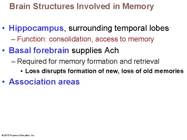 Brain Structures Involved in Memory • Hippocampus, surrounding temporal lobes – Function: consolidation, access