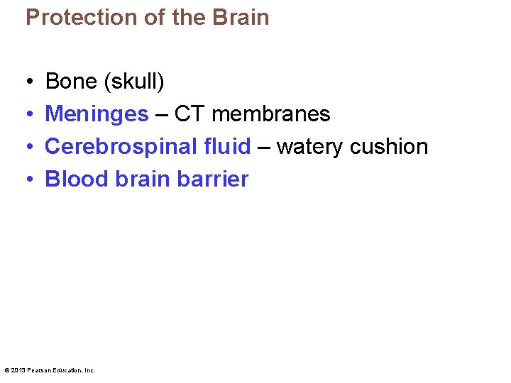 Protection of the Brain • • Bone (skull) Meninges – CT membranes Cerebrospinal fluid
