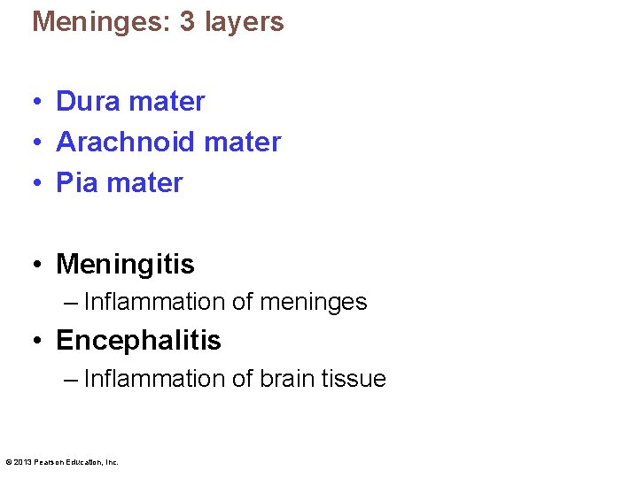 Meninges: 3 layers • Dura mater • Arachnoid mater • Pia mater • Meningitis