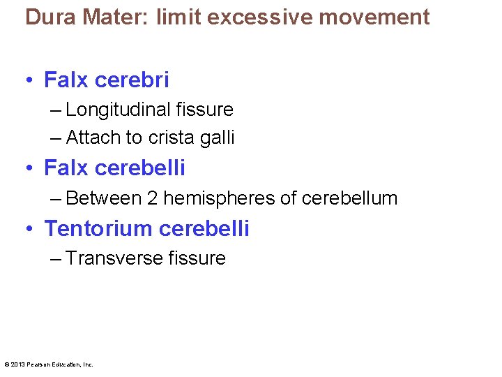 Dura Mater: limit excessive movement • Falx cerebri – Longitudinal fissure – Attach to