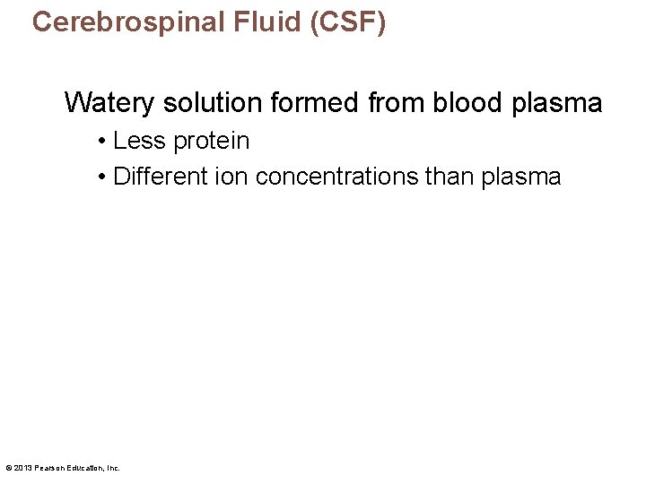 Cerebrospinal Fluid (CSF) Watery solution formed from blood plasma • Less protein • Different