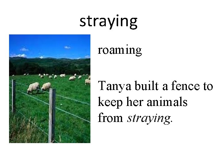 straying roaming Tanya built a fence to keep her animals from straying. 