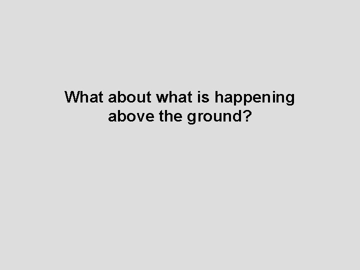 What about what is happening above the ground? 