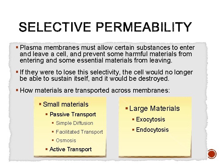 § Plasma membranes must allow certain substances to enter and leave a cell, and