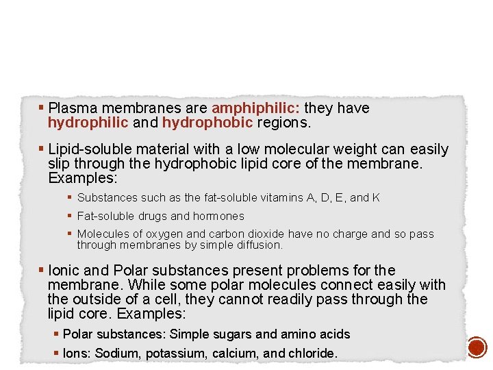 § Plasma membranes are amphiphilic: they have hydrophilic and hydrophobic regions. § Lipid-soluble material