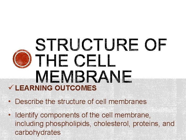 ü LEARNING OUTCOMES • Describe the structure of cell membranes • Identify components of