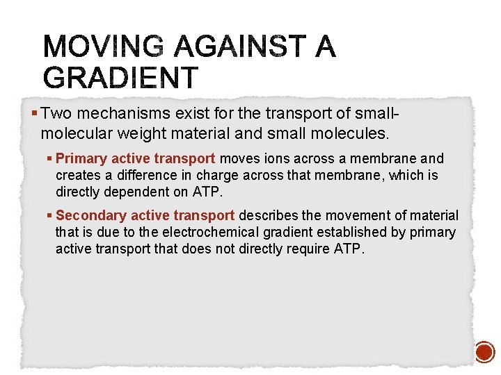 § Two mechanisms exist for the transport of smallmolecular weight material and small molecules.