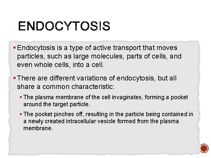 § Endocytosis is a type of active transport that moves particles, such as large