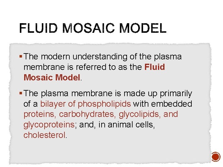 § The modern understanding of the plasma membrane is referred to as the Fluid