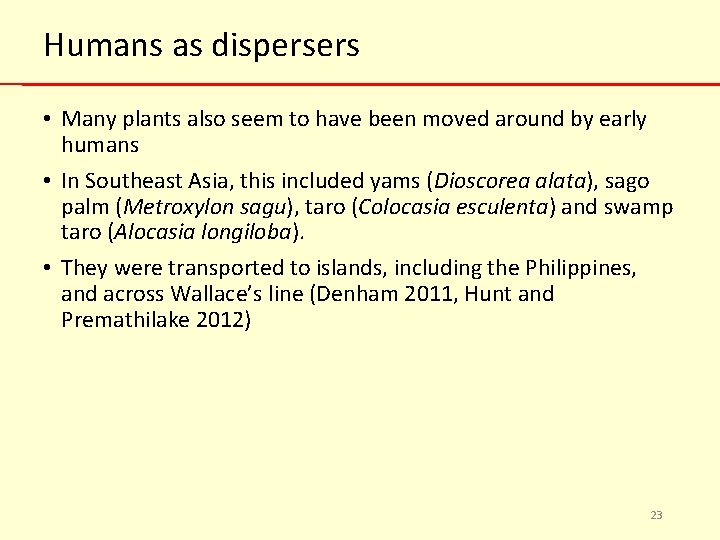 Humans as dispersers • Many plants also seem to have been moved around by