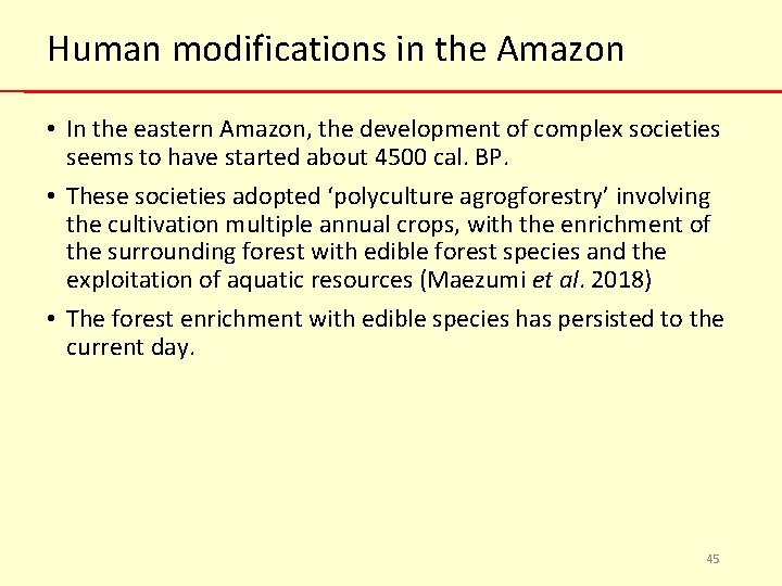 Human modifications in the Amazon • In the eastern Amazon, the development of complex