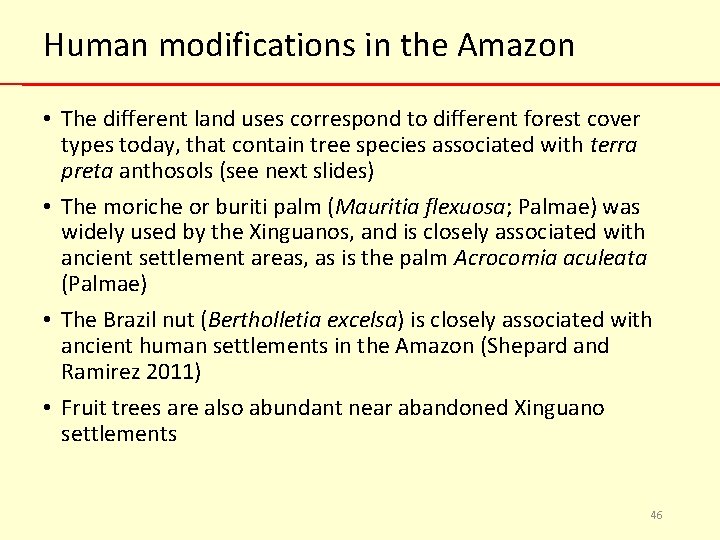 Human modifications in the Amazon • The different land uses correspond to different forest
