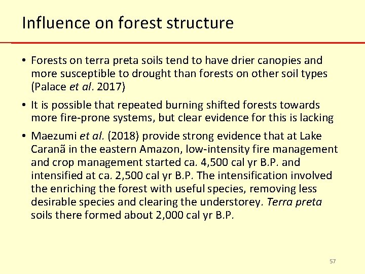 Influence on forest structure • Forests on terra preta soils tend to have drier