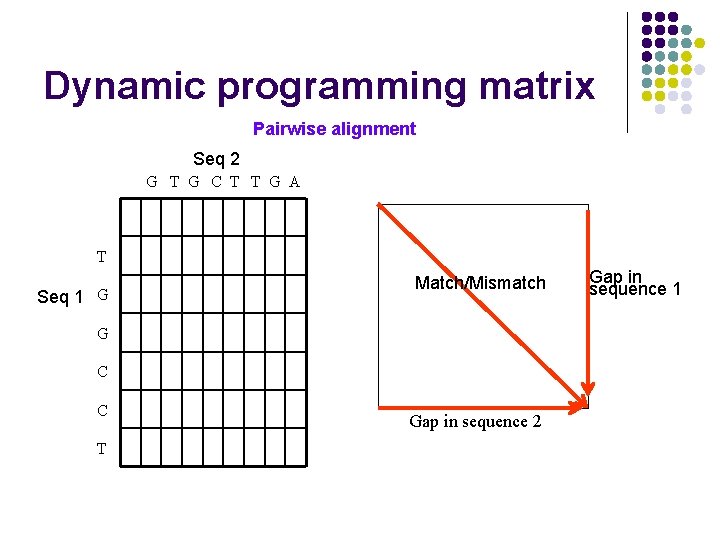 Dynamic programming matrix Pairwise alignment Seq 2 G T G C T T G Dynamic programming matrix Pairwise alignment Seq 2 G T G C T T G