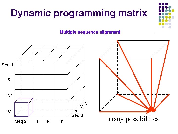 Dynamic programming matrix Multiple sequence alignment Seq 1 S M M A Seq 3 Dynamic programming matrix Multiple sequence alignment Seq 1 S M M A Seq 3