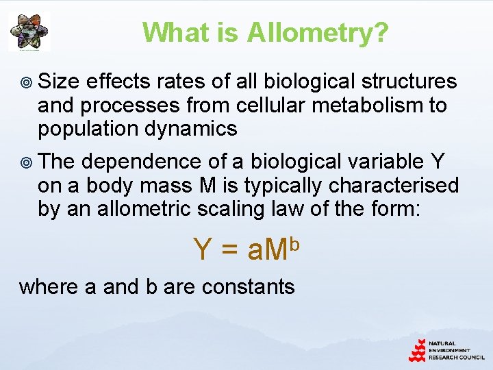 What is Allometry? ¥ Size effects rates of all biological structures and processes from