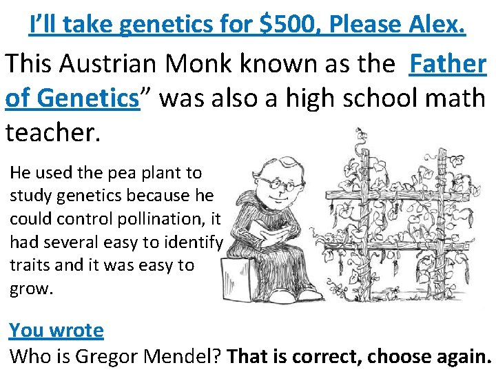 I’ll take genetics for $500, Please Alex. This Austrian Monk known as the Father