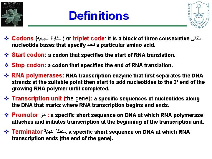 Definitions v Codons ( )ﺍﻟـﺸﻔﺮﺓ ﺍﻟـﭽﻴﻨﻴﺔ or triplet code: it is a block of