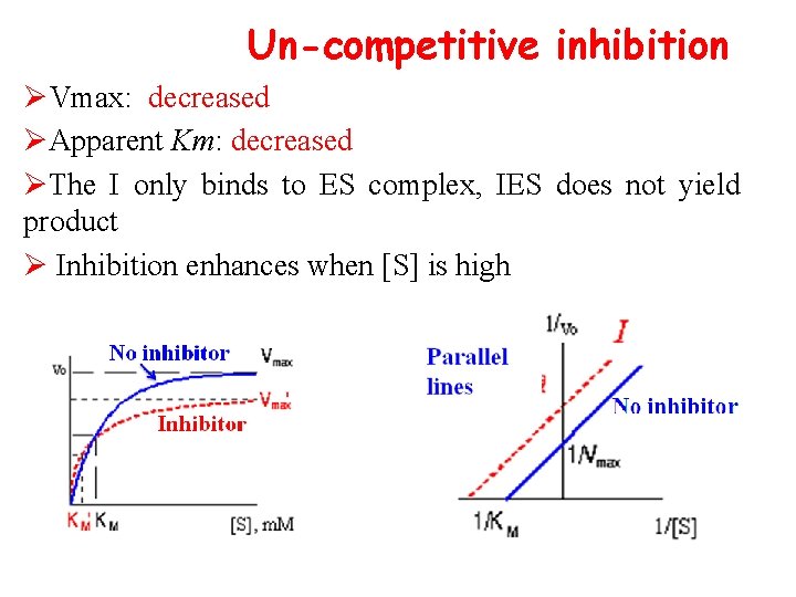 Un-competitive inhibition ØVmax: decreased ØApparent Km: decreased ØThe I only binds to ES complex,