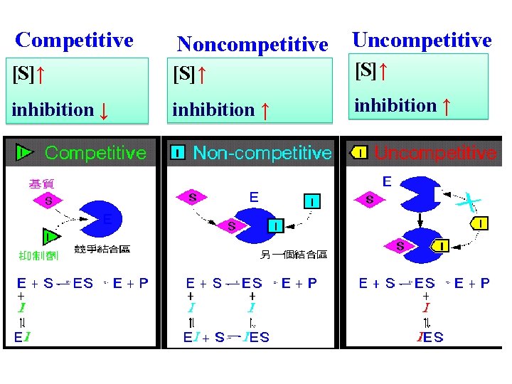 Competitive Noncompetitive Uncompetitive [S]↑ inhibition ↓ inhibition ↑ 