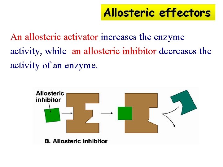 Allosteric effectors An allosteric activator increases the enzyme activity, while an allosteric inhibitor decreases
