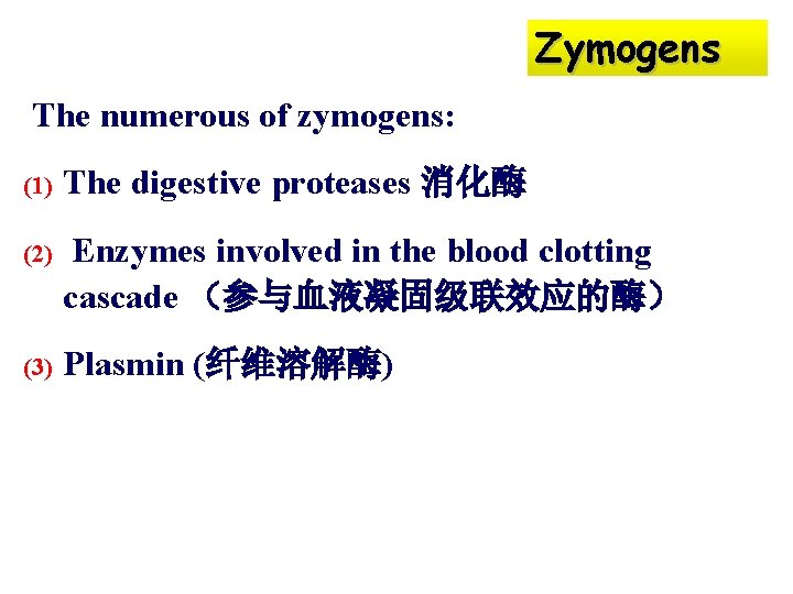 Zymogens The numerous of zymogens: (1) The digestive proteases 消化酶 (2) Enzymes involved in