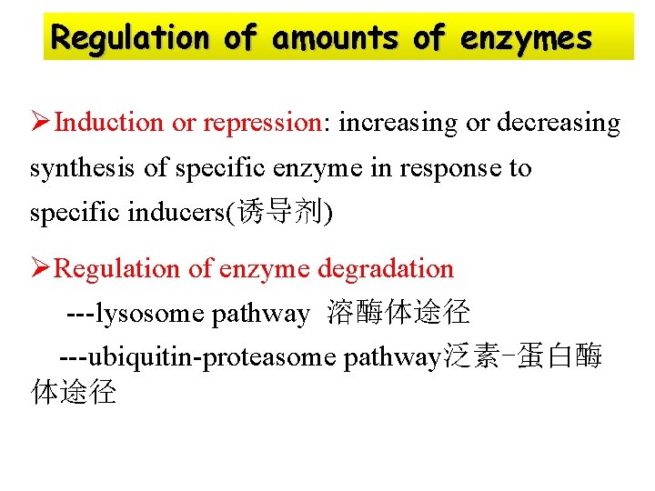 Regulation of amounts of enzymes ØInduction or repression: increasing or decreasing synthesis of specific