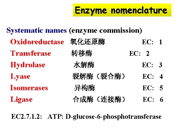Enzyme nomenclature Systematic names (enzyme commission) Oxidoreductase 氧化还原酶 EC: Transferase 转移酶 EC: 2 Hydrolase
