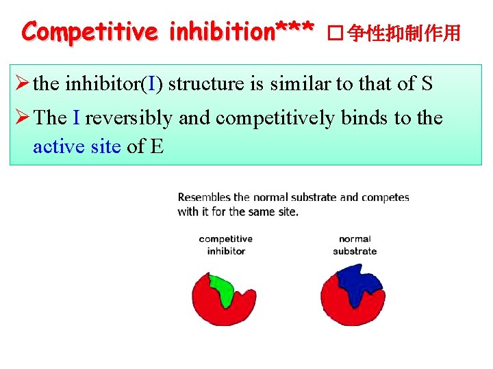 Competitive inhibition*** � 争性抑制作用 Ø the inhibitor(I) structure is similar to that of S
