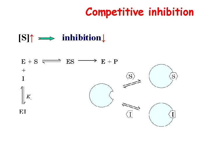 Competitive inhibition [S]↑ inhibition↓ 