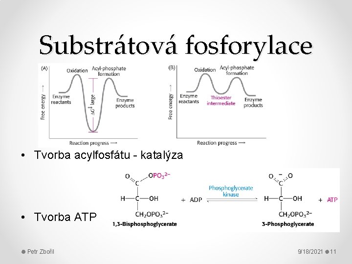 Substrátová fosforylace • Tvorba acylfosfátu - katalýza • Tvorba ATP Petr Zbořil 9/18/2021 11