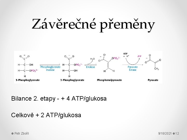 Závěrečné přeměny Bilance 2. etapy - + 4 ATP/glukosa Celkově + 2 ATP/glukosa Petr