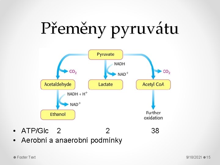 Přeměny pyruvátu • ATP/Glc 2 2 • Aerobní a anaerobní podmínky Footer Text 38