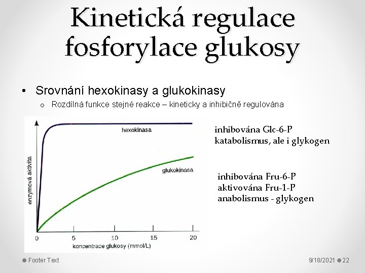 Kinetická regulace fosforylace glukosy • Srovnání hexokinasy a glukokinasy o Rozdílná funkce stejné reakce