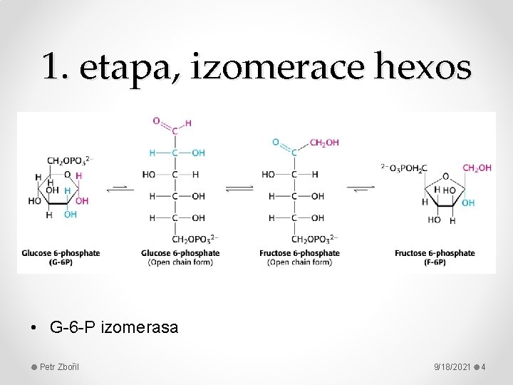 1. etapa, izomerace hexos • G-6 -P izomerasa Petr Zbořil 9/18/2021 4 