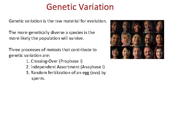 Genetic Variation Genetic variation is the raw material for evolution. The more genetically diverse