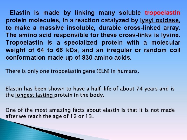 Elastin is made by linking many soluble tropoelastin protein molecules, in a reaction catalyzed