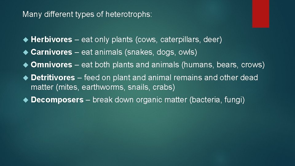 Many different types of heterotrophs: Herbivores – eat only plants (cows, caterpillars, deer) Carnivores