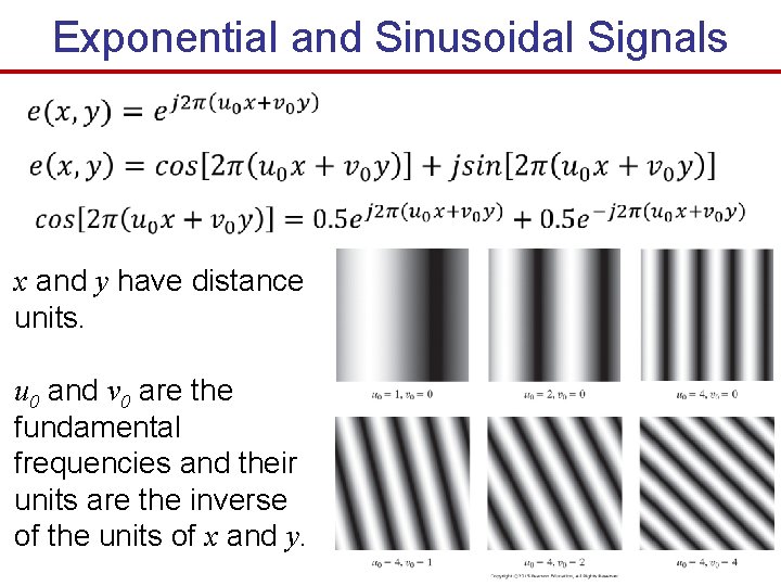 Exponential and Sinusoidal Signals x and y have distance units. u 0 and v