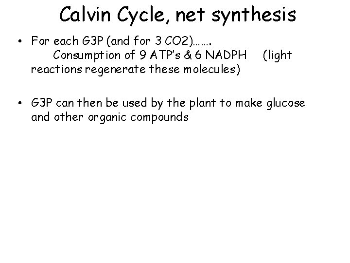 Calvin Cycle, net synthesis • For each G 3 P (and for 3 CO
